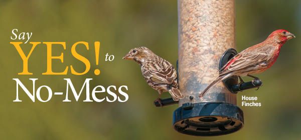 No-Mess Sale
